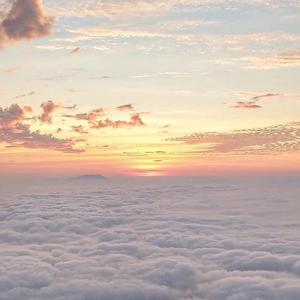 欧美大妈logo大全
