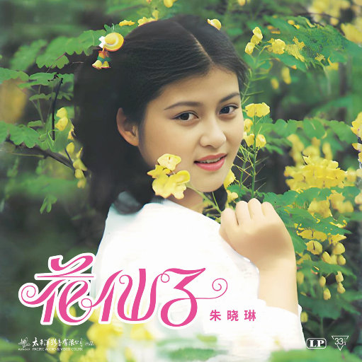 欧美大妈logo大全
